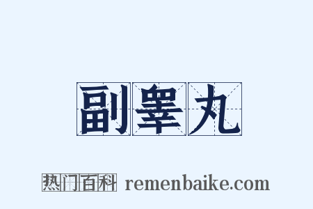 副睾丸是什么意思的图片